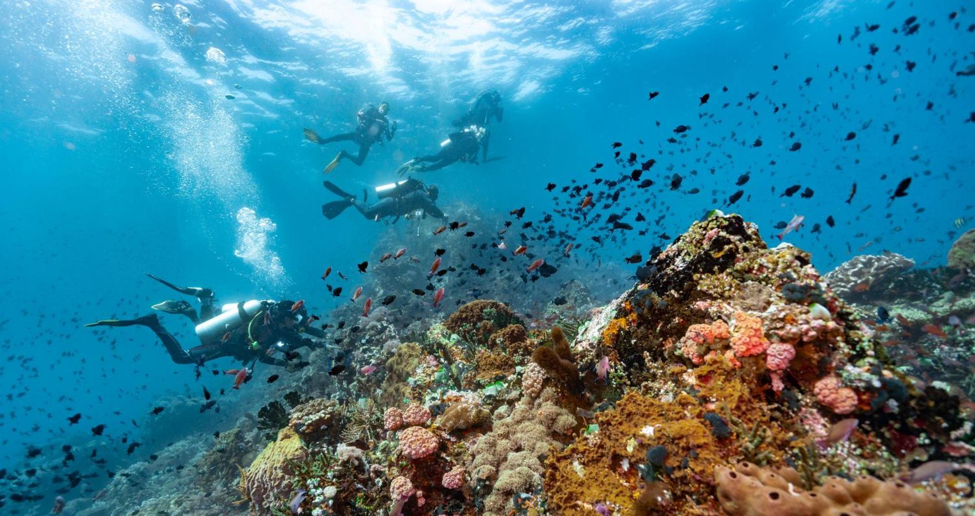 פוארטו גאלרה Casalay Boutique Villas & Dive מראה חיצוני תמונה